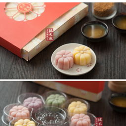 海派風(fēng)華，中西交融 沈大成花開富貴糕點禮盒與西式糕點的精致之旅
